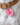 Pet ID Tag Accessory – Microchip & Allergy Alert Charm