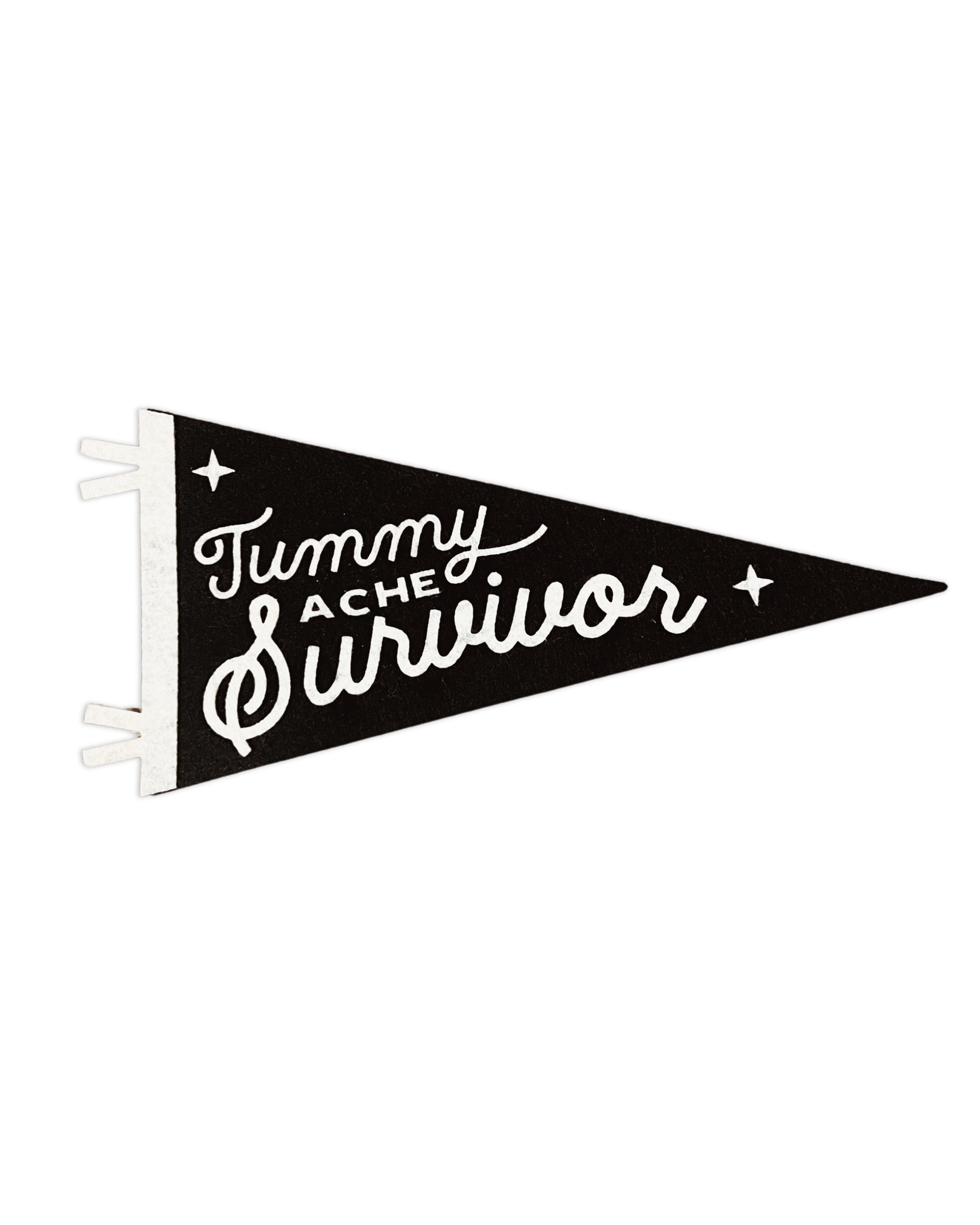 Tummy Ache Survivor Pennant Flag