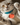 Small Pet Tag Camp Charm